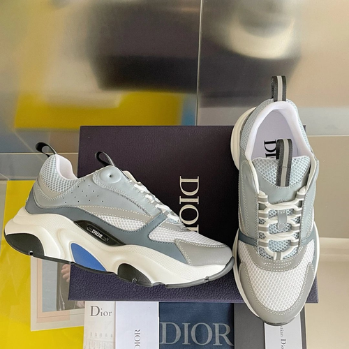 40+ Dior B22s